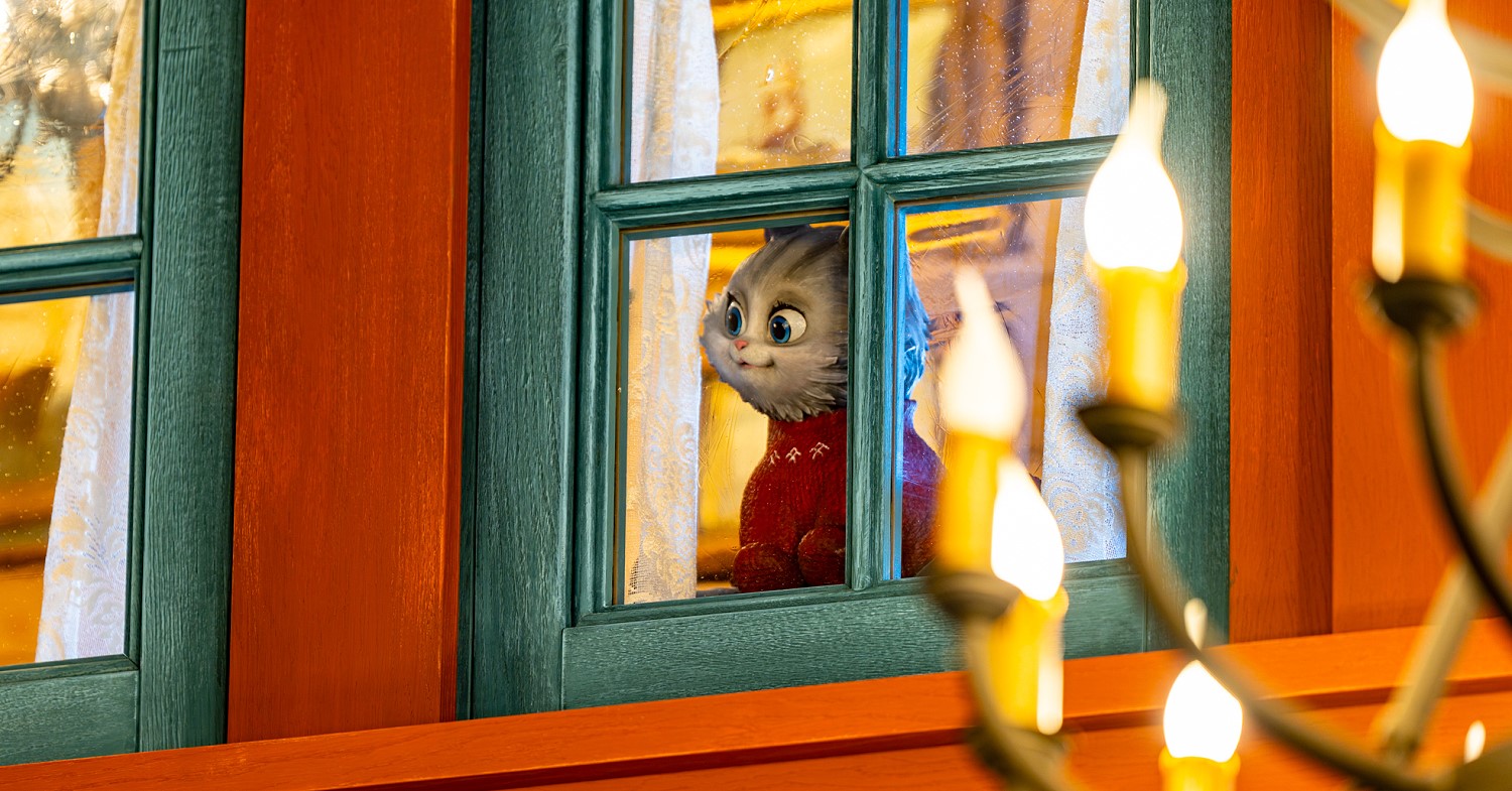Katze am Fenster Graue Katze mit rotem Pullover schaut aus einem Fenster mit grünem Rahmen