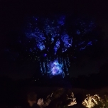 Tree of Life im Animal Kingdom