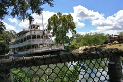 Klassischer Schaufelraddampfer auf dem Wasser