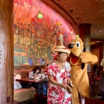 Aunty & Pluto