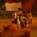 Cowboys fangen mit Lassos Rinder ein