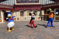 Donald Duck, Mickey Mouse und Goofy