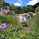 Wasserfall, Felsen und Pflanzen