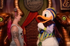 Donald Duck in Walt Disney World