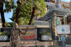 Groot am Tower of Terror