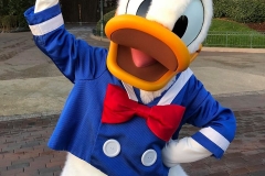 Donald Duck in Heldenpose