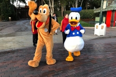 Pluto und Donald Duck winken freundlich