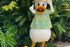 Donald Duck Meet & Greet in Disney's Aulani