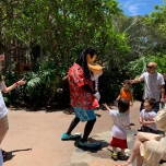 Goofy im Resort