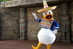 Meet and Greet mit Donald Duck mit Sombrero