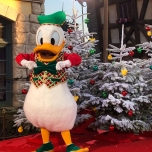 Donald Duck posiert vor Weihnachtsbäumen