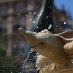 Eine Ratte als Wasserspeieer am Springbrunnen, aus ihrem Maul sprudelt das Wasser heraus