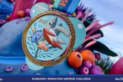 runDisney-Medaille-Nemo