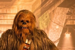 Chewbacca in Disneyland Paris