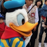 Donald Duck in seinem tollen Outfit