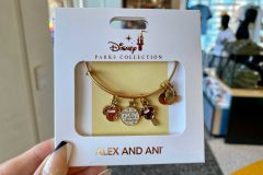 Alex and Ani Christmas Bracelet