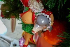 Santa Claus mit grüner Badehose und einem Delfin unter dem Arm