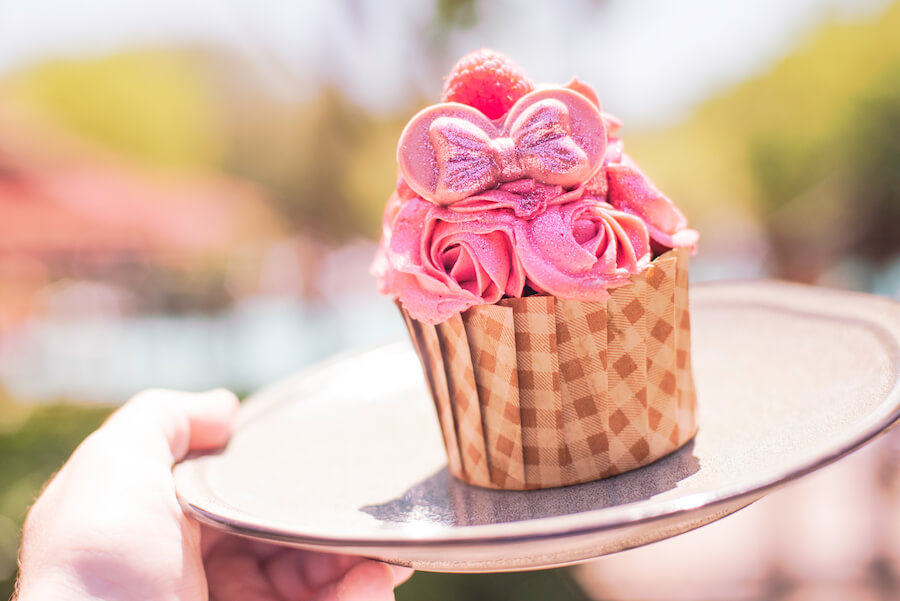 Millennial Pink Raspberry Chocolate Cupcake