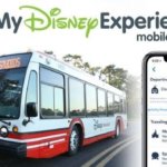 Bus der Disney Transportation mit IPhone und der MyDisney Experience App