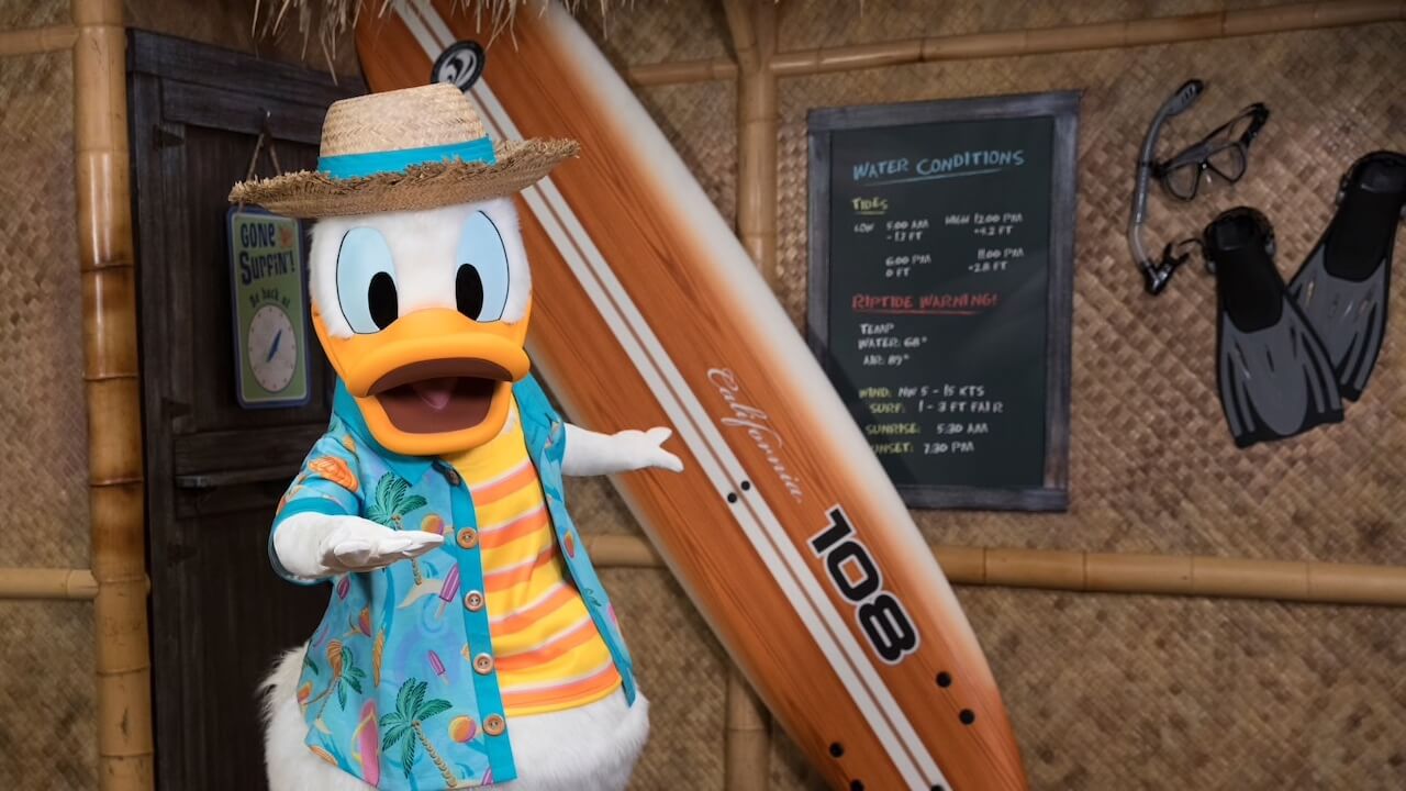 Donald mit Surfboard