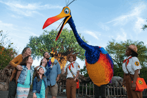 Die gefiederte Vogeldame Kevin kann man nun in Animal Kingdom treffen