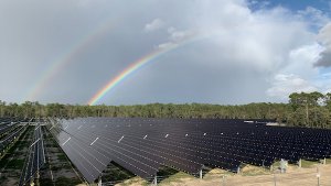 Die neuen Solarpanels im Walt Disney World Resort sind nun in betrieb