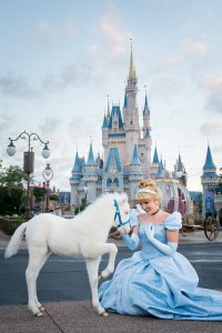 Shetland Pony Lilly ist das erste schneeweiße Pony das im Resort geboren wurde