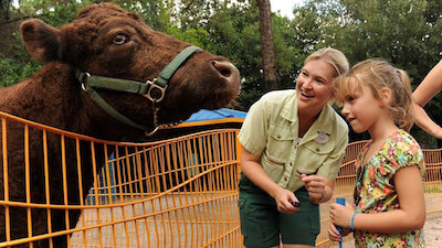 Rafikis Planet Watch eröffnet diesen Sommer wieder im Animal Kingdom