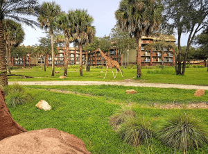 eine Giraffe läuft durch ein Gehege vor der Animal Kingdom Lodge