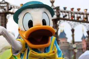 Donald Duck beim Swing into Spring im Disneyland