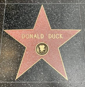 rosa Stern mit Donald Duck Beschriftung auf dem Walk of Fame in Hollywood, Los Angeles