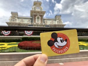 Eine Jahreskarte im Walt Disney World