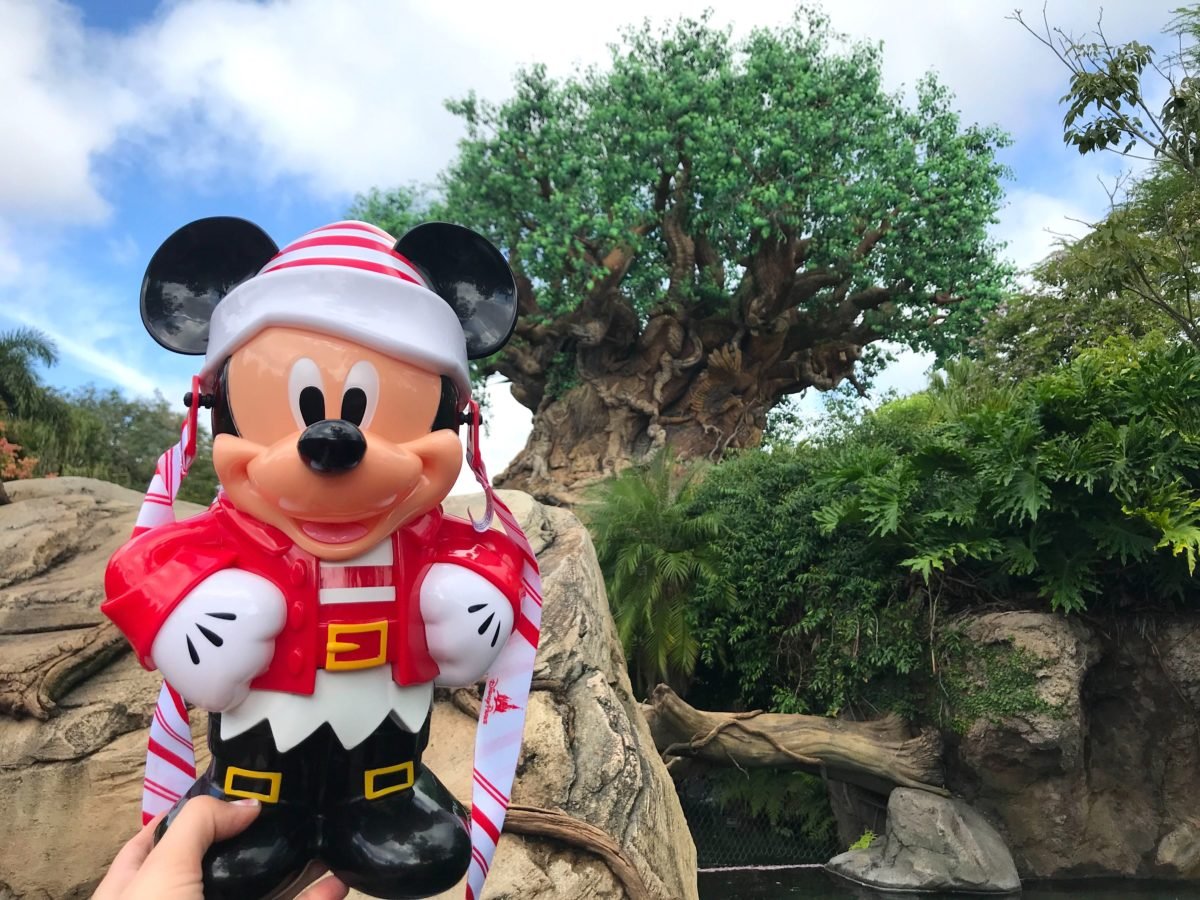 ein Elfen Mickey-Popcorneimer wird vor dem Tree of Life in die Höhe gehalten