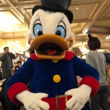 Scrooge McDuck im Plaza Gardens beim Charakter Frühstück