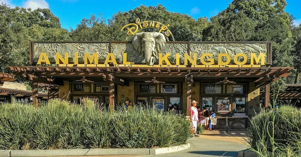 Blick auf ein Schild mit der Aufschrift Disneys Animal Kingdom über dem Eingang zum Themenpark in Disney World