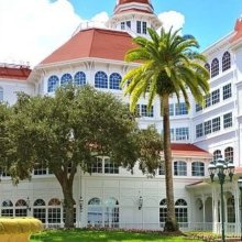 Grand Floridian Resort, davor eine Palme und ein Baum