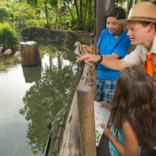 Ein Cast Member erklärt zwei Kindern etwas bei der interaktiven Attraktion Wilderness Explorers