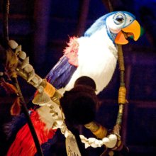 Nahaufnahme eines Audio-Animatronic-Vogels in der Attraktion Enchanted Tiki Room im Magic Kingdom