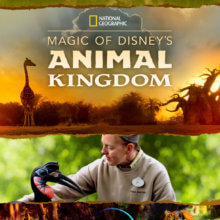 Das Serienposter zur neuen National Geographic Serie über die Tiere aus Walt Disney World