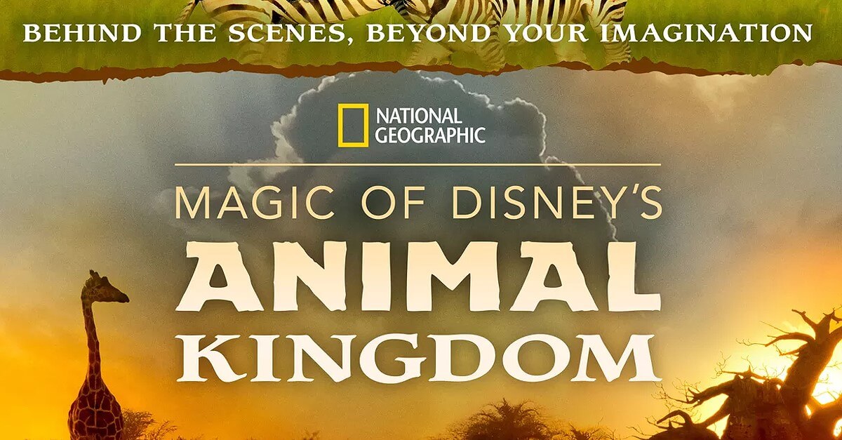 Neue Fernsehserie von National Geographic: Magic of Disney's Animal Kingdom