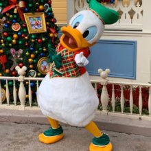 Donald Duck im Weihnachtsoutfit posiert vor einem Weihnachtsbaum