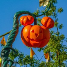 Ein Kürbis in Form von Mickeys Kopf ist als Dekoration auf der Main Street U.S.A. zu sehen