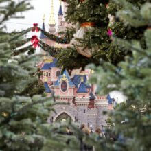 Blick durch grüne Tannenzweige auf das weihnachtliche Dörnröschenschloss