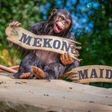 Affe sitzt auf gekaperten Schiff, hält zerbrochenes Schild "Mekong Maiden"