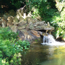 Foto eines kleinen Wasserfalls in Form eines Drachenkopfes