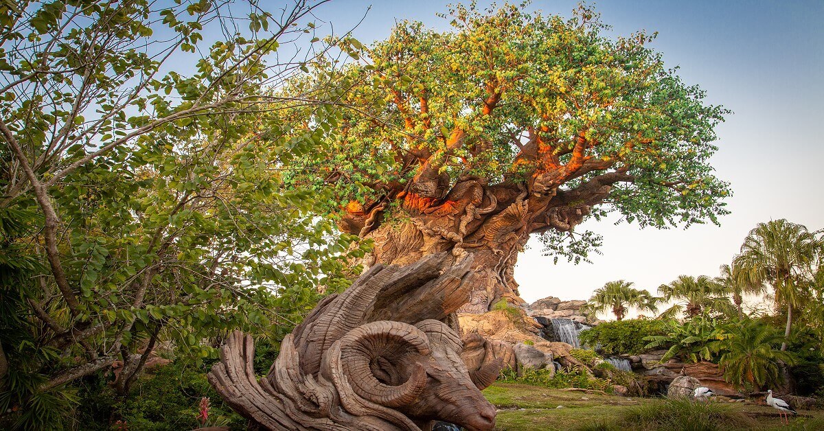 Der Tree of Life im Animal Kingdom