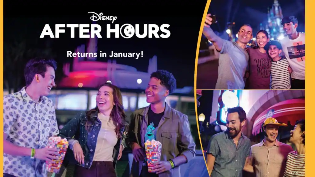 Werbegrafik mit drei Fotos von den Disney After Hours