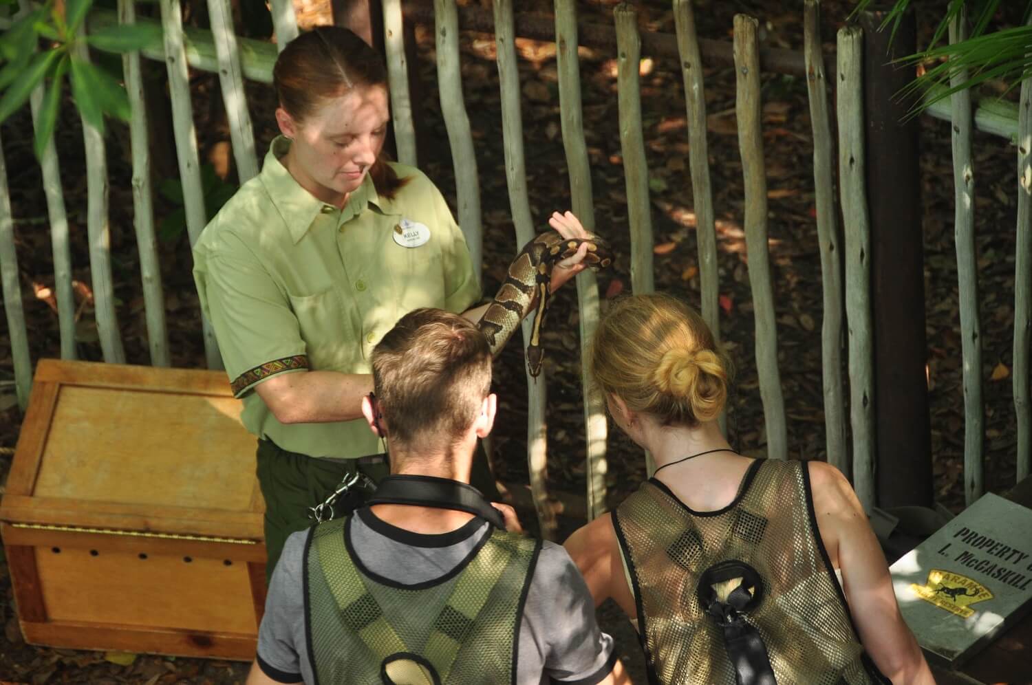 Besucher streicheln beim Wild Africa Trek im Animal Kingdom eine Schlange