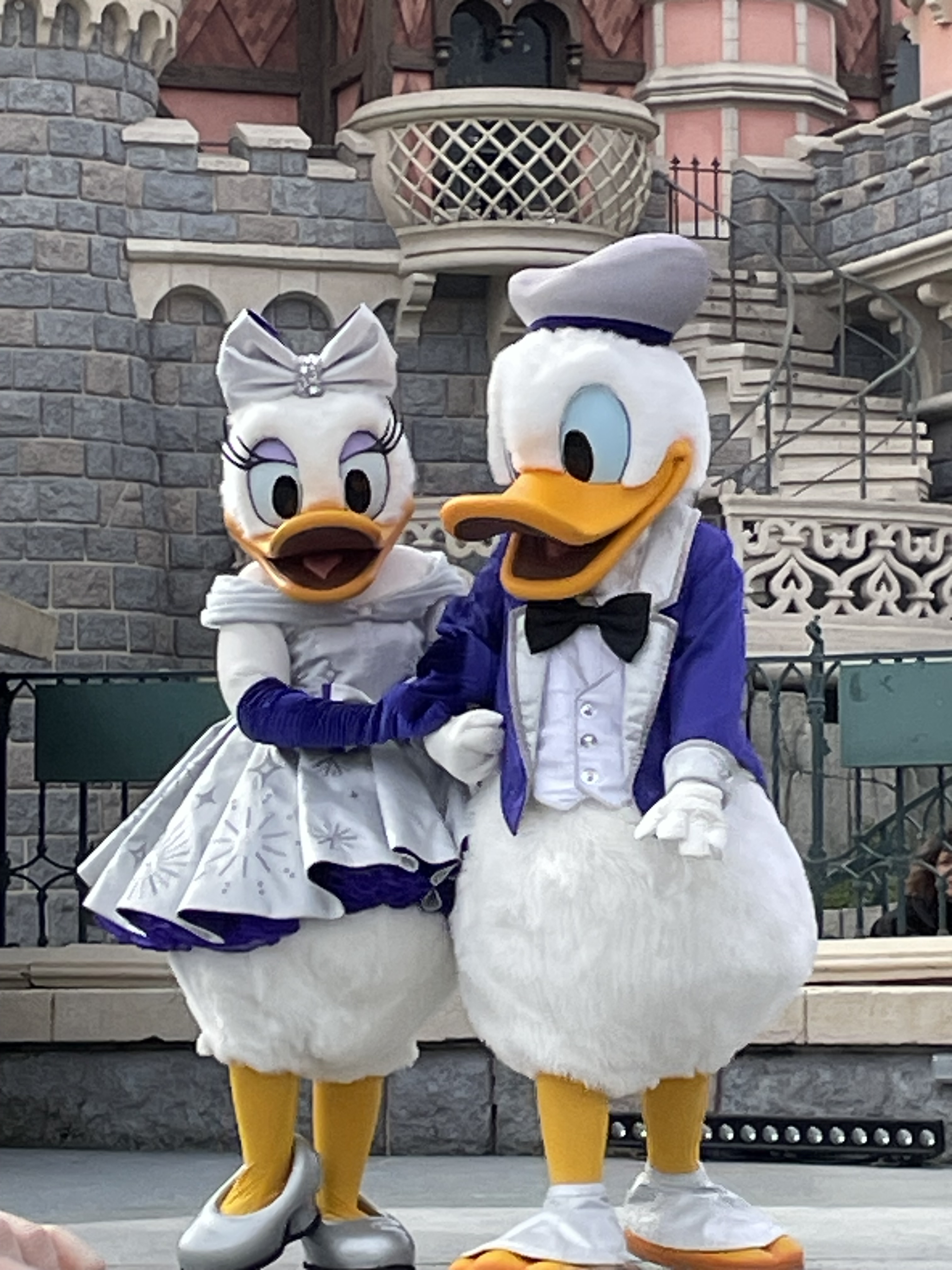 Donald Duck und Daisy Duck gemeinsam auf der Bühne. Beide Enten tragen Outfits im weiß-lila Look mit silbernen Applikationen