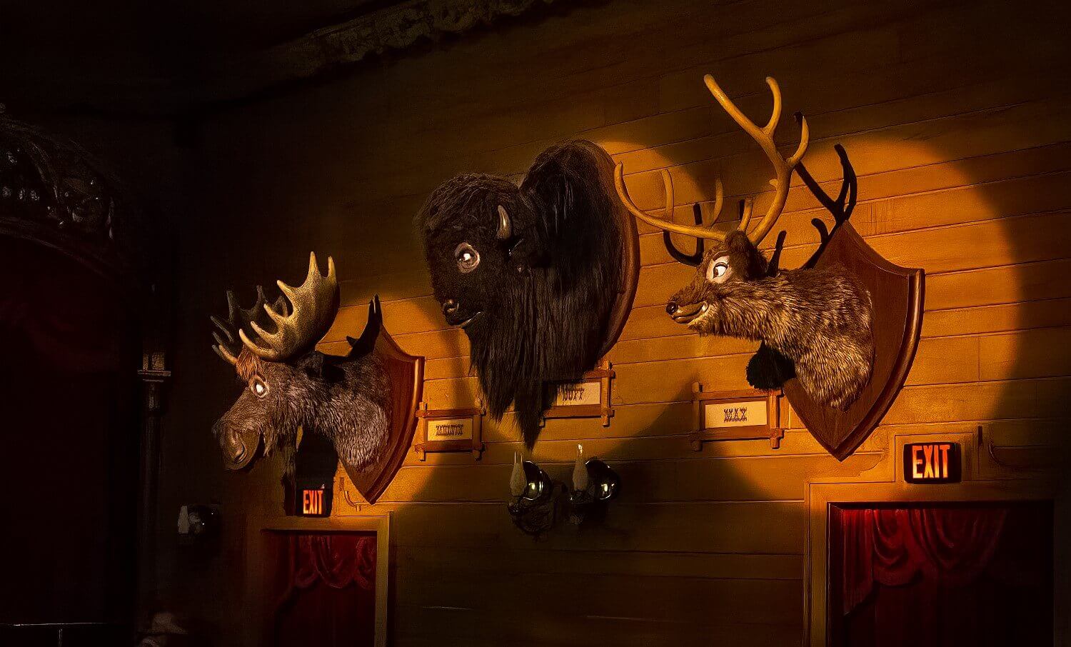 Drei Audio Animatronics in Form von Tierköpfen hängen an einer Wand der Country Bear Jamboree